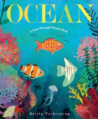 Ocean (a peak-through picture book)