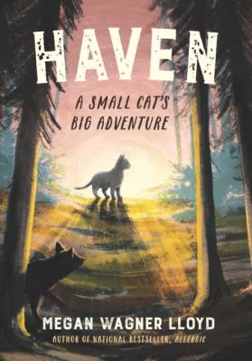 Haven : a small cat's big adventure