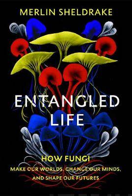 Entangled Life - How Fungi Make Our Worlds, Change Our Minds and Shape Our Futures