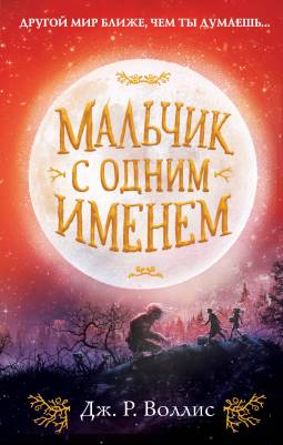 Мальчик с одним именем 