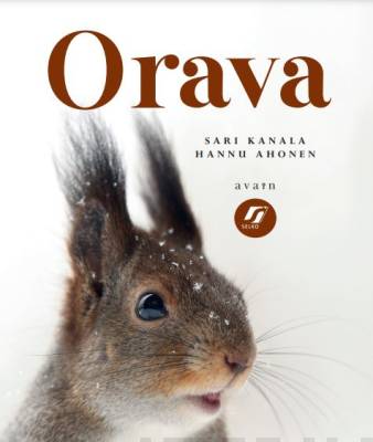 Orava