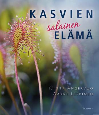 Kasvien salainen elämä