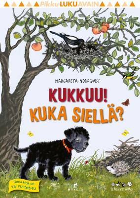 Pikku lukuavain