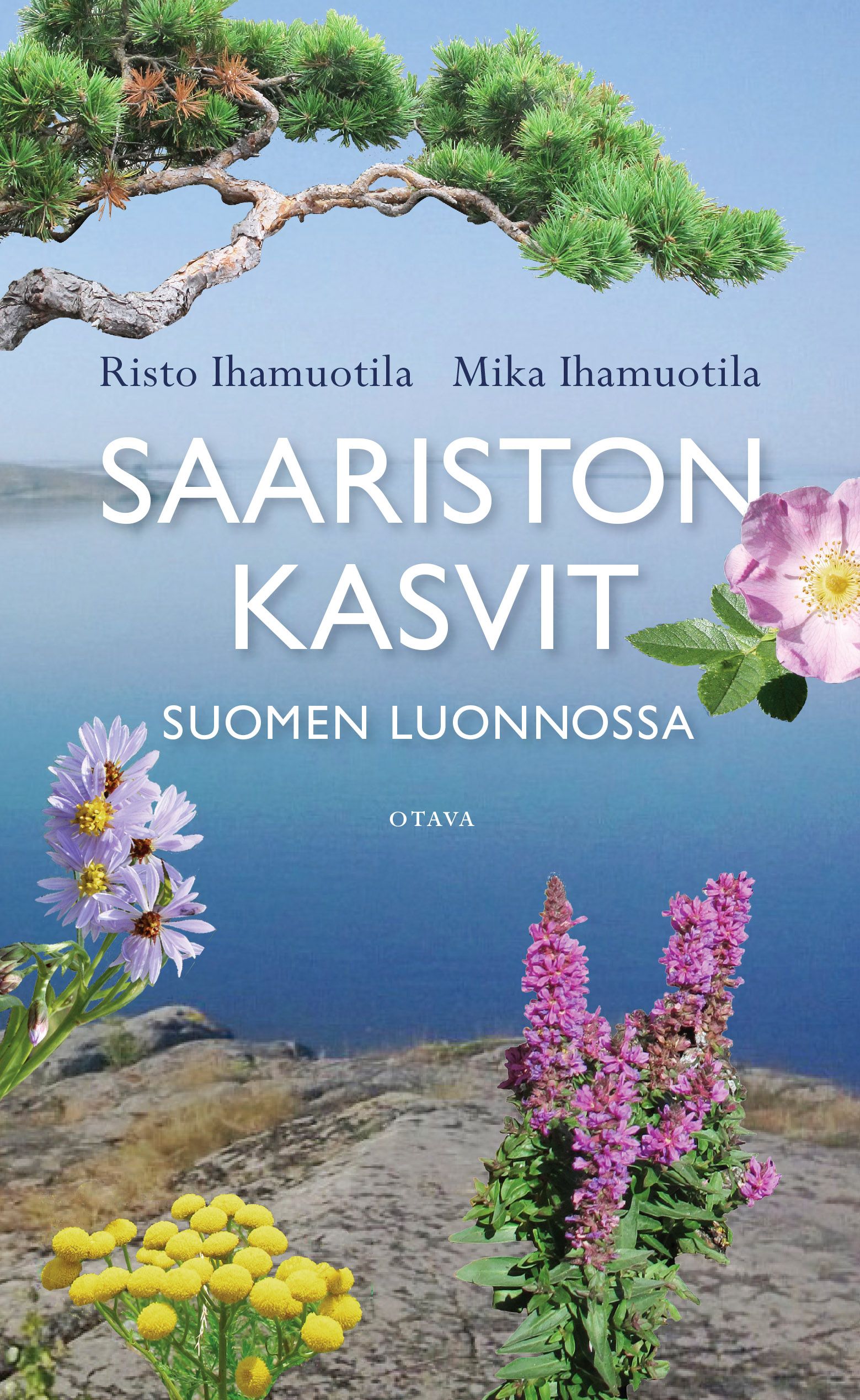 Kirjailijan Risto Ihamuotila uusi kirja Saariston kasvit Suomen luonnossa (UUSI)