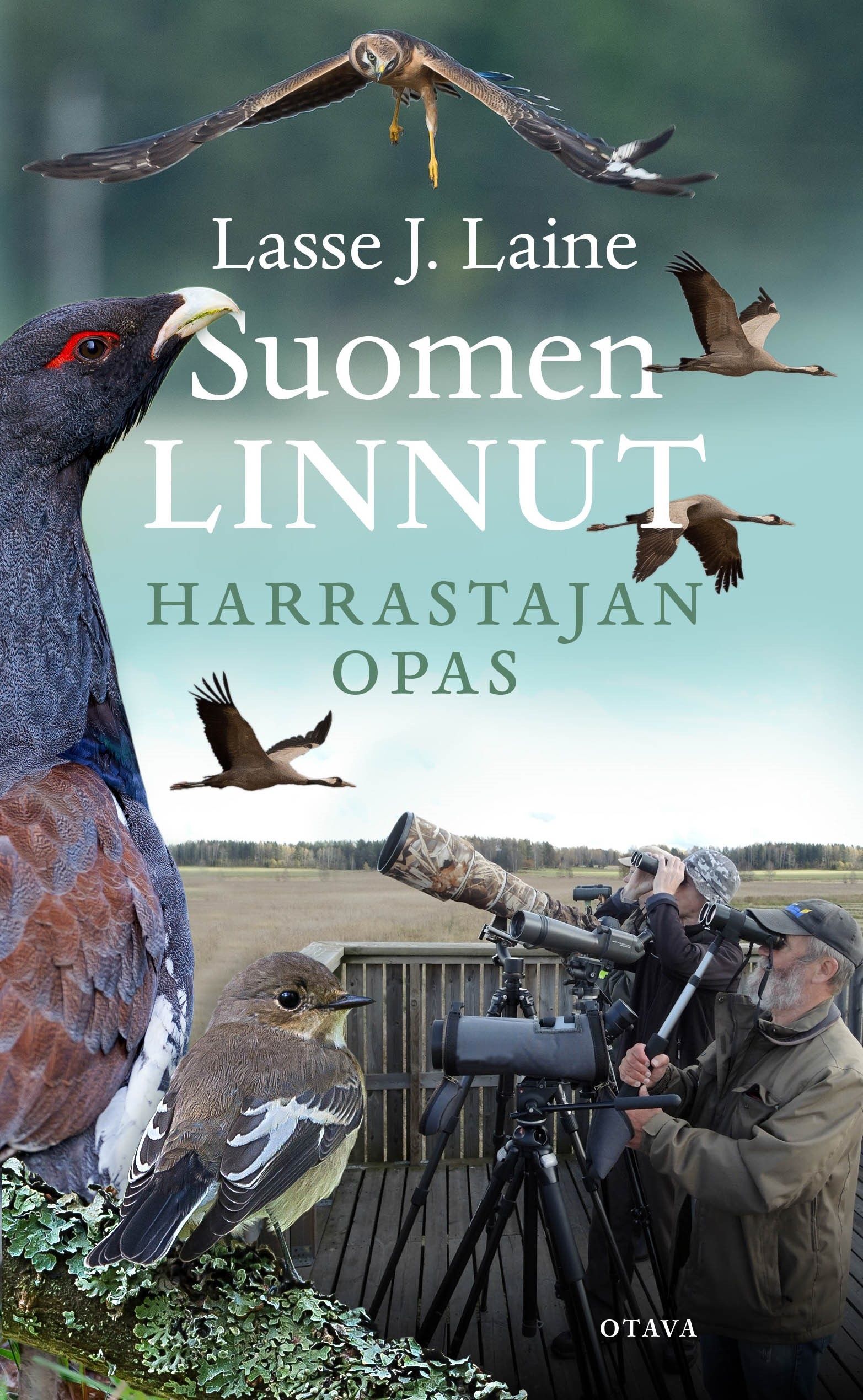 Kirjailijan Lasse J. Laine käytetty kirja Suomen linnut : harrastajan opas (ERINOMAINEN)