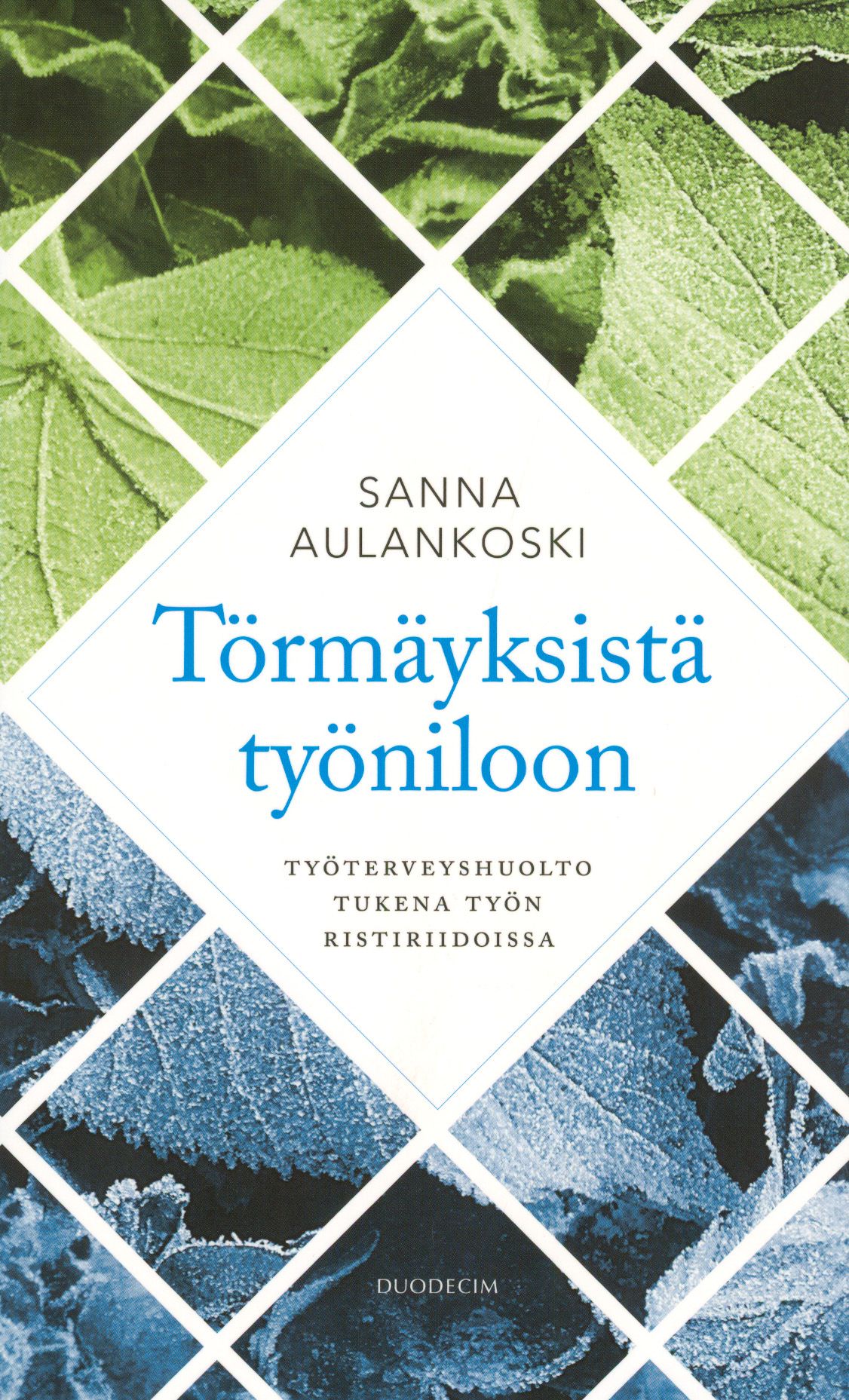 Sanna Aulankoski : Törmäyksistä työniloon