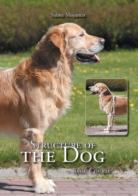 Salme Mujunen : Structure of the Dog