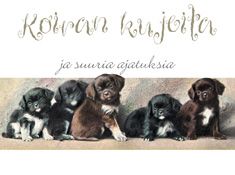 käytetty kirja Koiran kujeita ja suuria ajatuksia