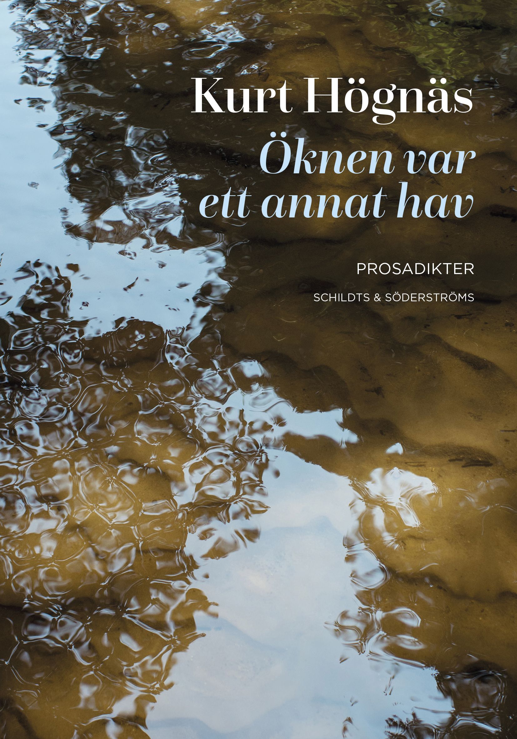 Kurt Högnäs : Öknen var ett annat hav