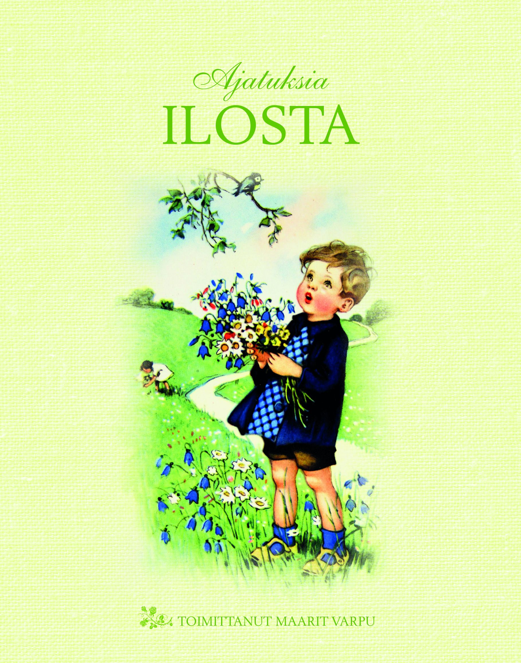 käytetty kirja Ajatuksia ilosta