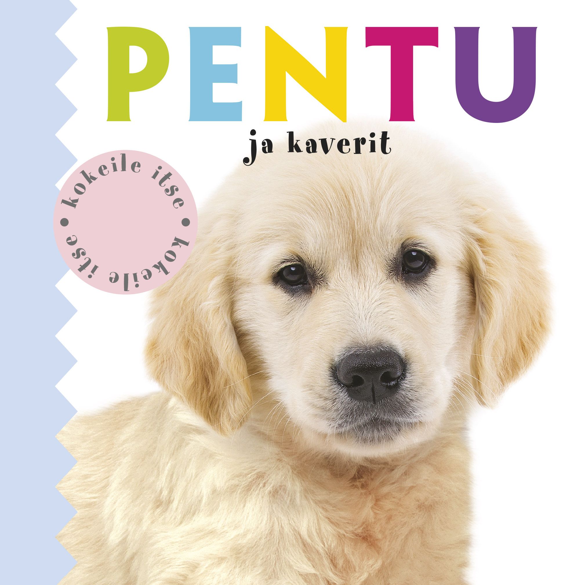 Ellie Boultwood & Hannah Cockayne & Amy Oliver : Kokeile itse: Pentu ja kaverit