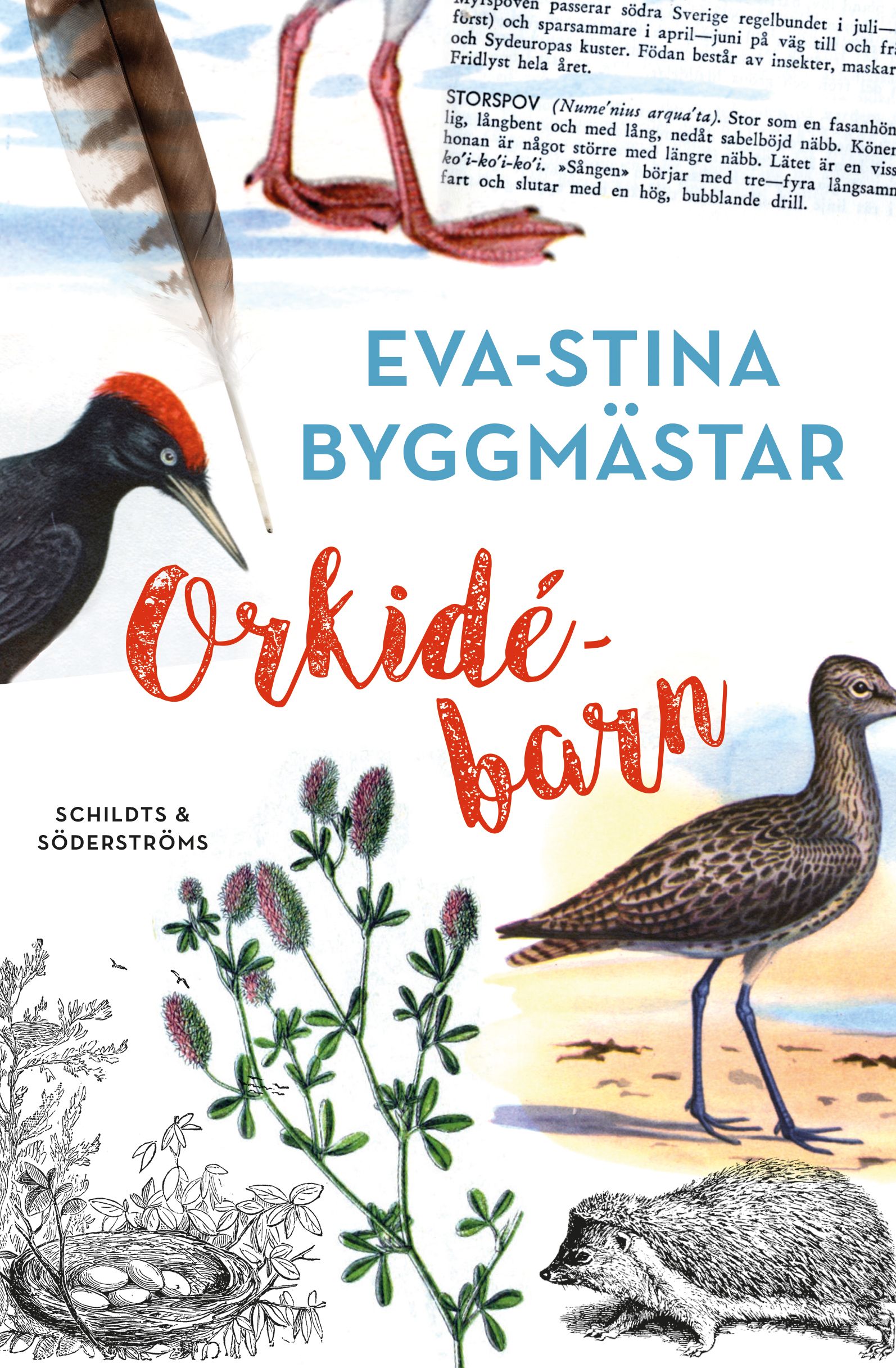 Eva-Stina Byggmästar : Orkidébarn