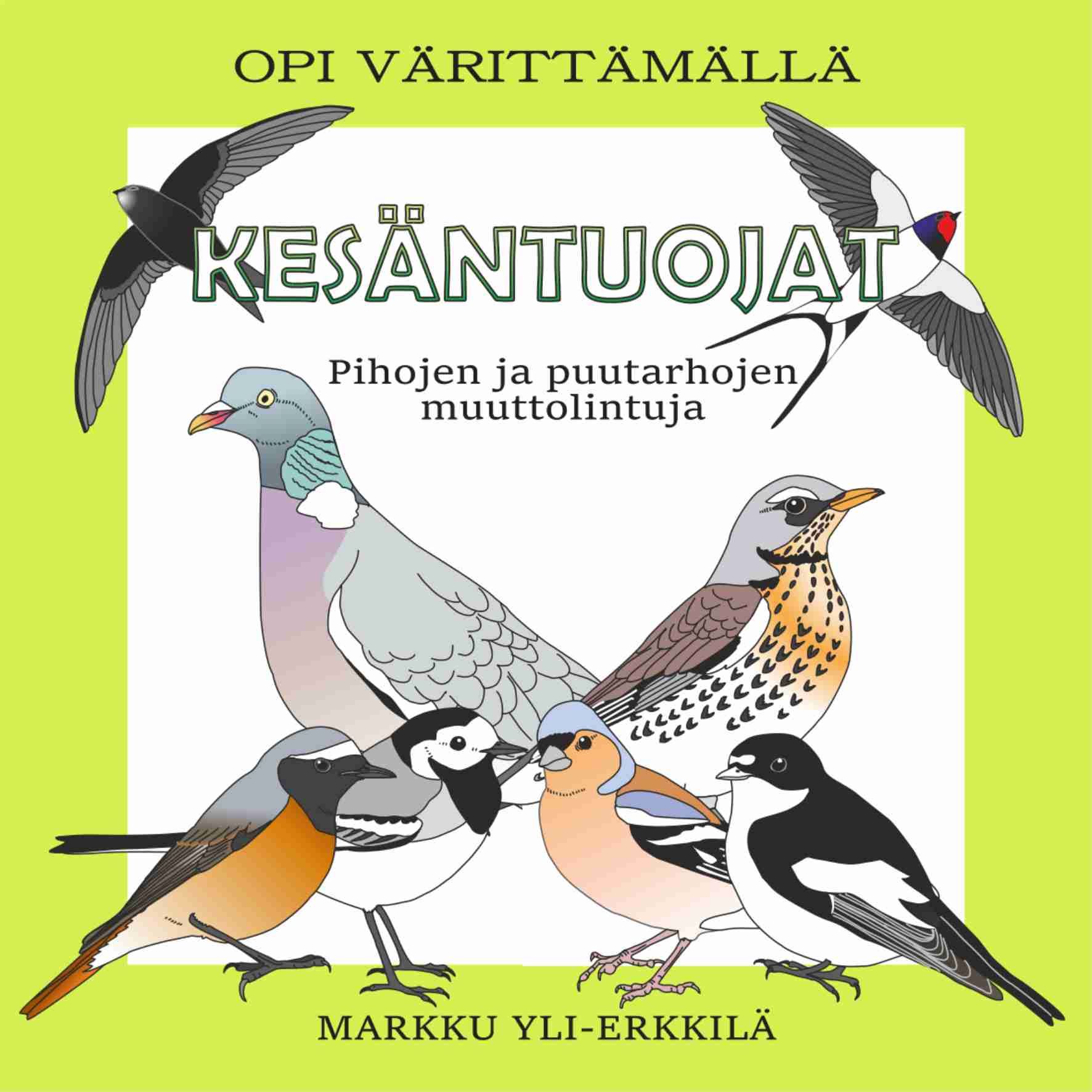 Markku Yli-Erkkilä : Kesäntuojat