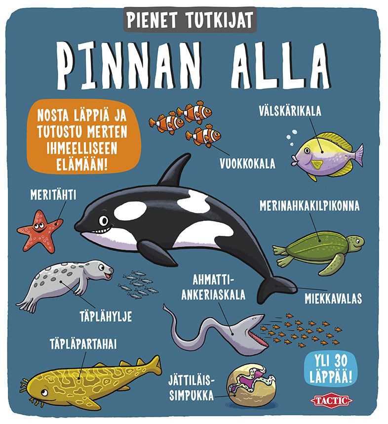 käytetty kirja Pinnan alla