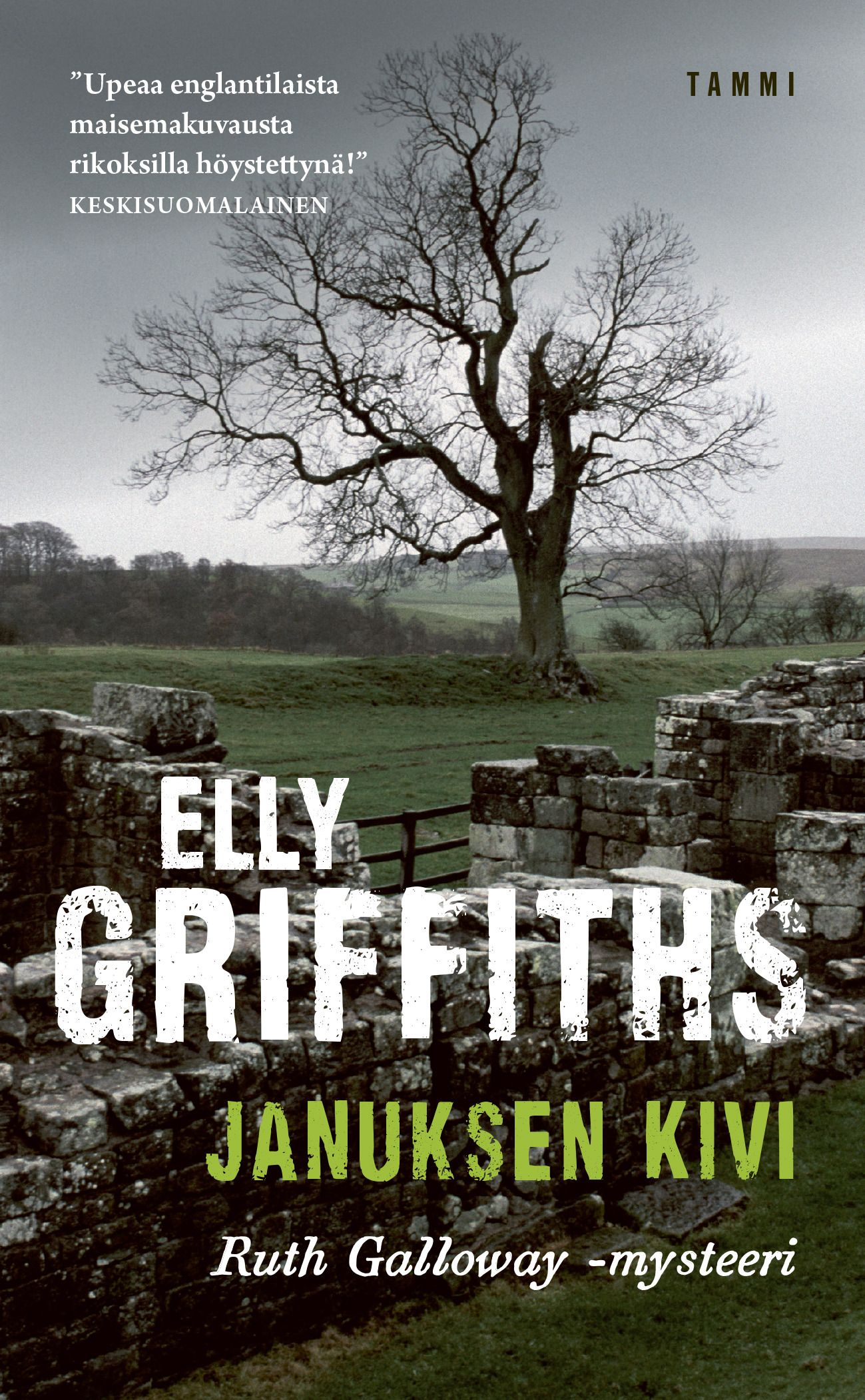 Kirjailijan Elly Griffiths käytetty kirja Januksen kivi