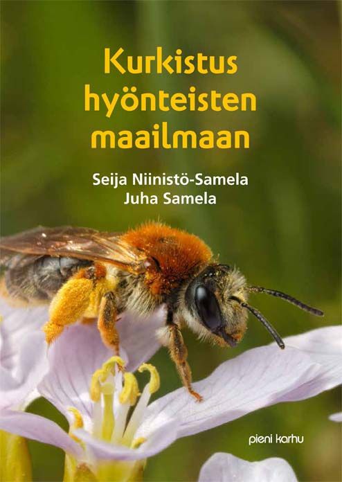 Seija Niinistö-Samela : Kurkistus hyönteisten maailmaan (selkokirja)