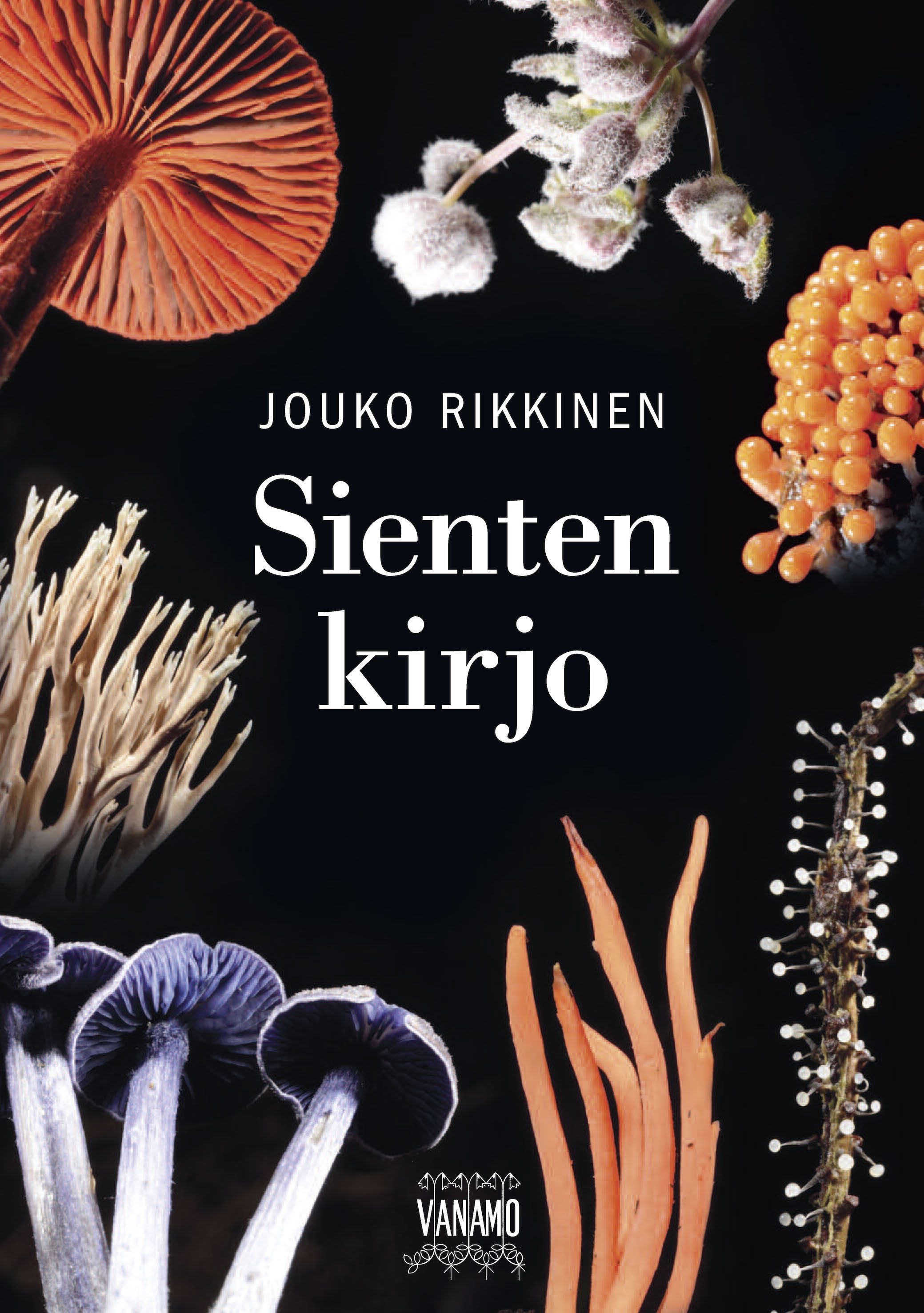 Kirjailijan Jouko Rikkinen käytetty kirja Sienten kirjo