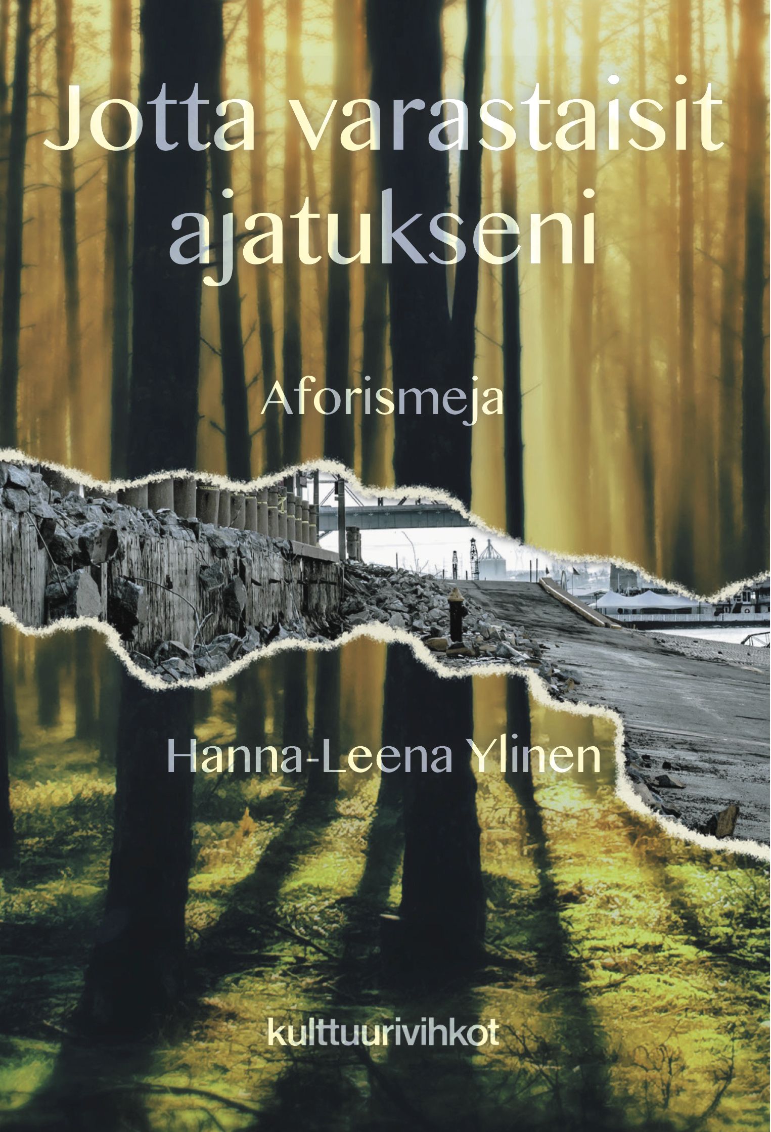 Hanna-Leena Ylinen : Jotta varastaisit ajatukseni