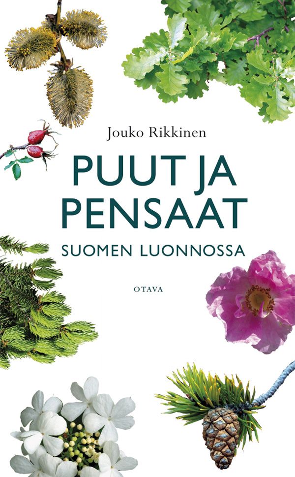 Kirjailijan Jouko Rikkinen uusi kirja Puut ja pensaat Suomen luonnossa (UUSI)