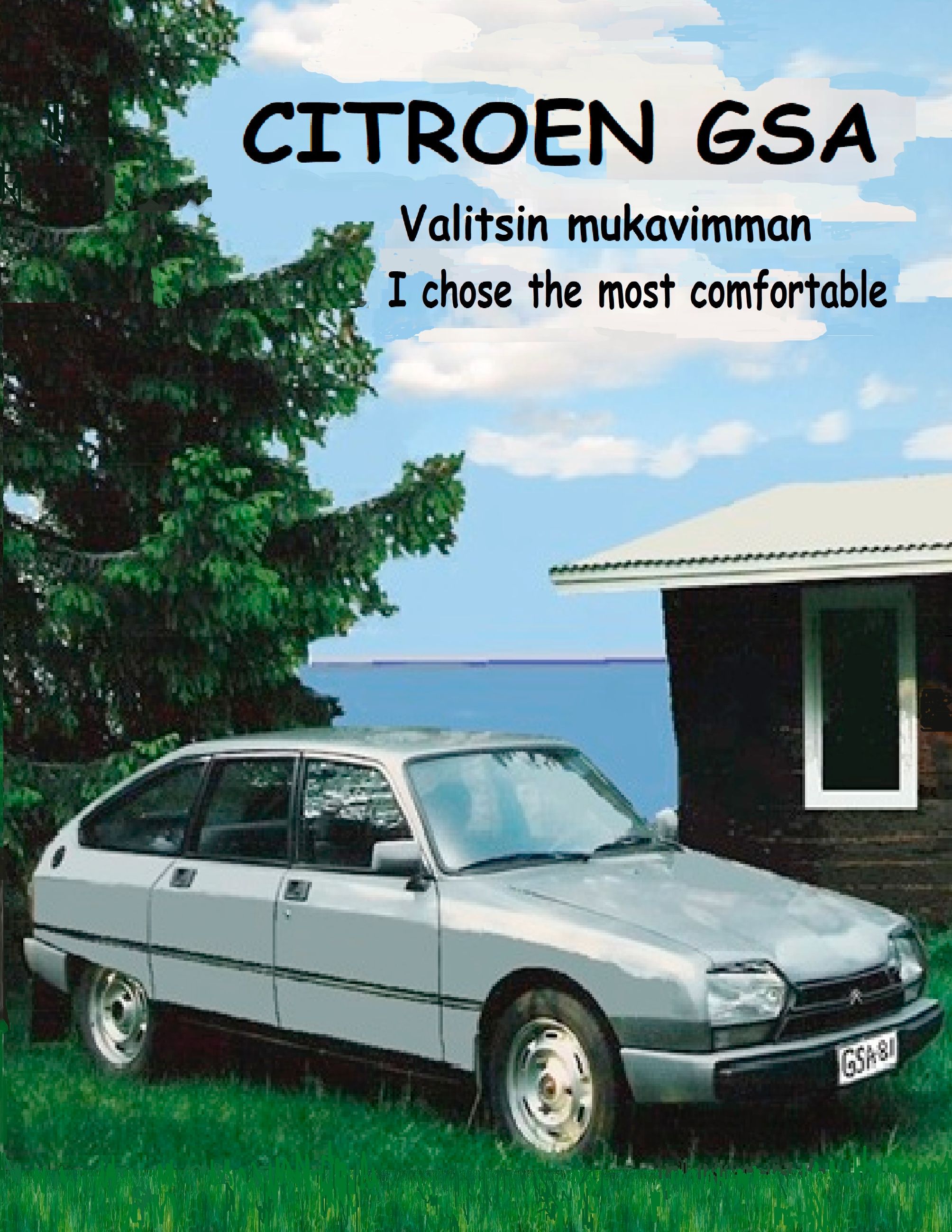 Seppo Brand : Citroen GSA