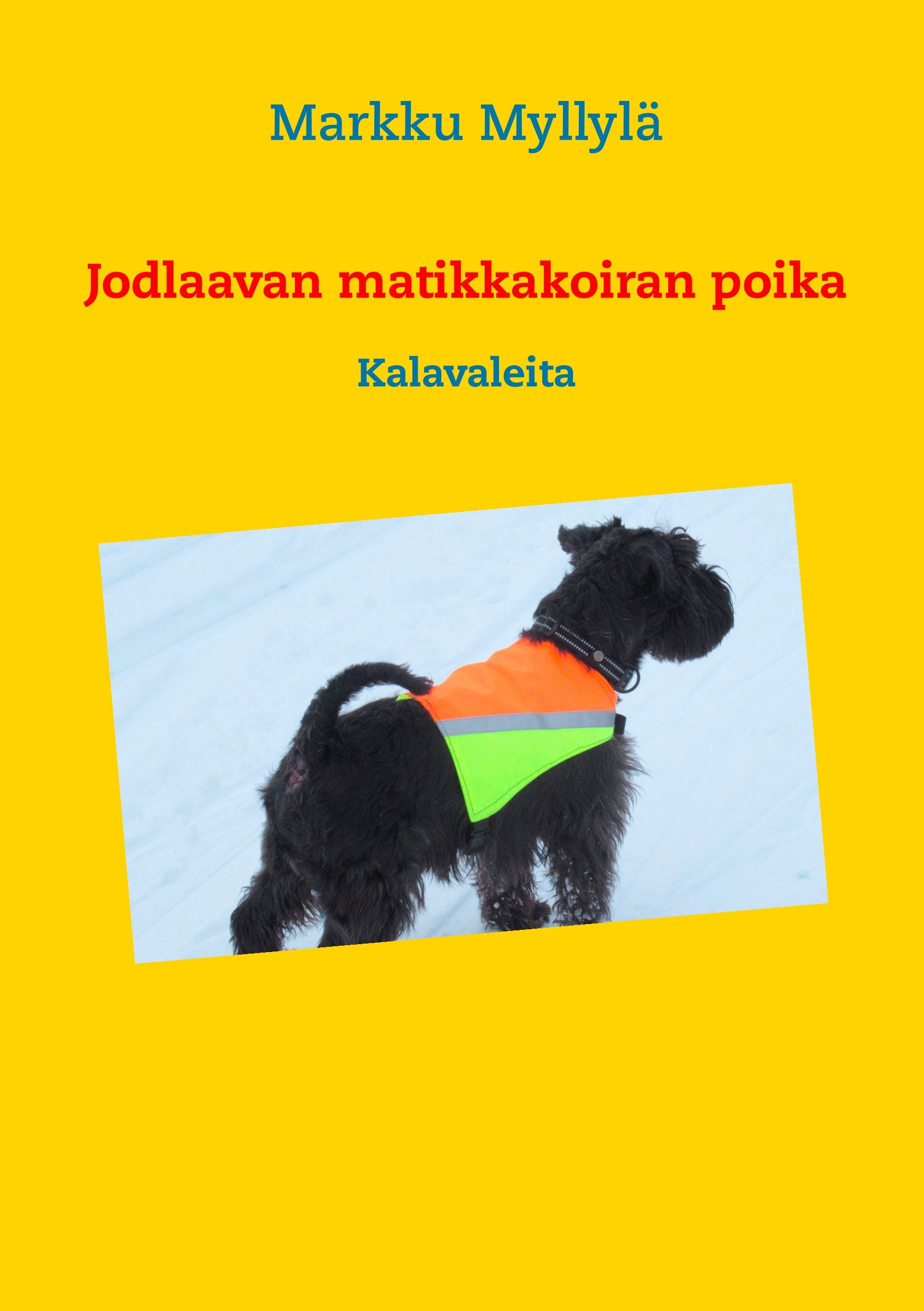 Markku Myllylä : Jodlaavan matikkakoiran poika