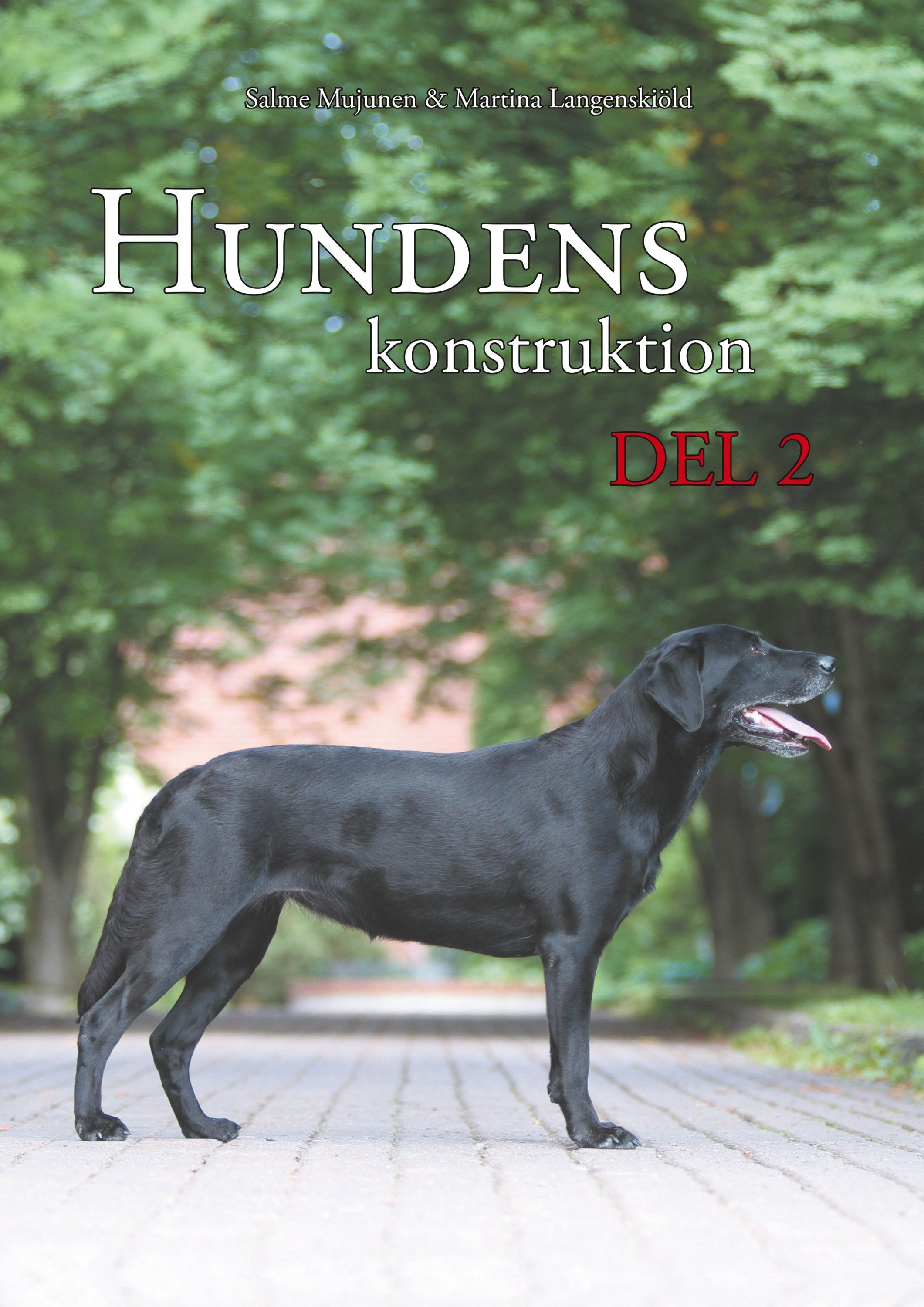 Salme Mujunen : Hundens konstruktion, del 2