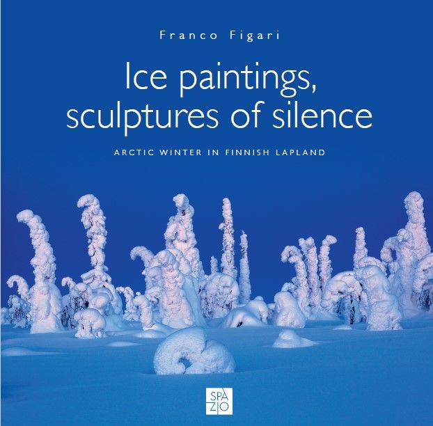 Franco Figari : Ice Paintings, Sculptures of Silence