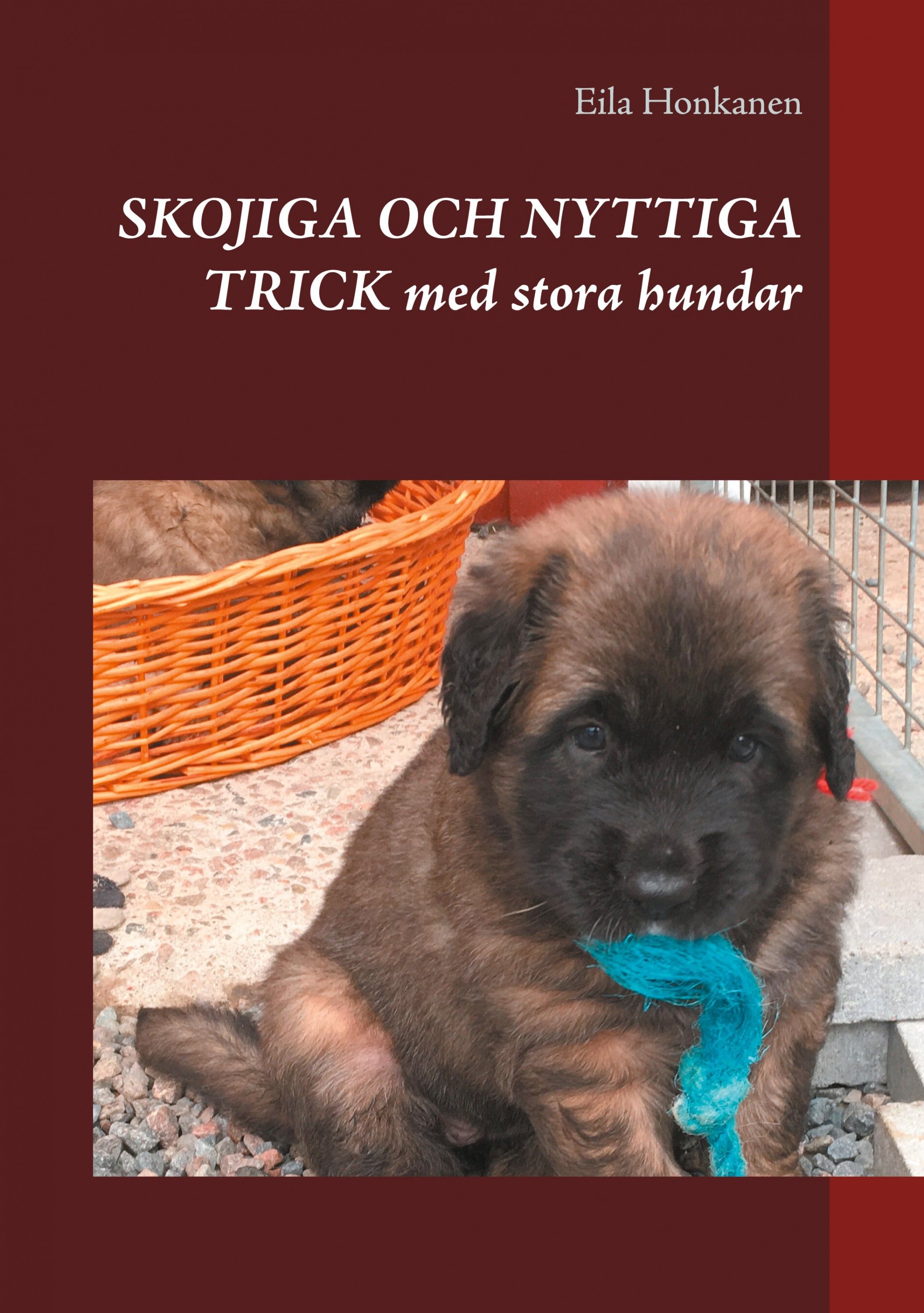 Eila Honkanen : Skojiga och nyttiga trick med stora hundar
