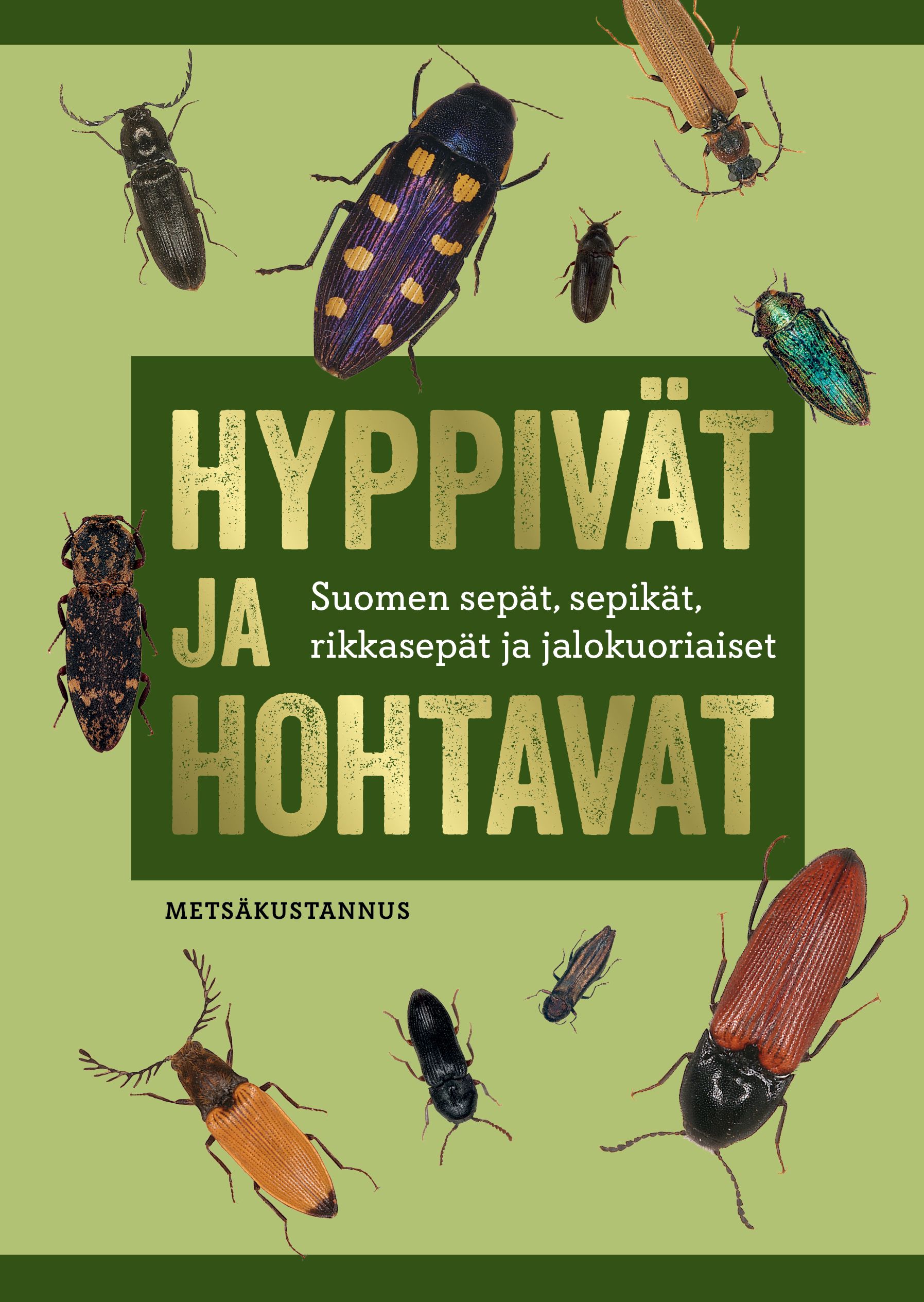 Kari Heliövaara & Ilpo Mannerkoski & Jyrki Muona & Juha Siitonen & Hans Silfverberg : Hyppivät ja hohtavat