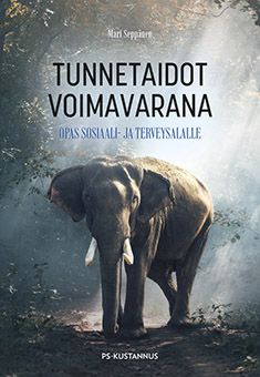 Mari Seppänen : Tunnetaidot voimavarana