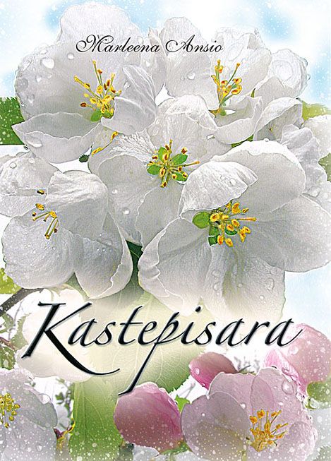 Kirjailijan Marleena Ansio käytetty kirja Kastepisara