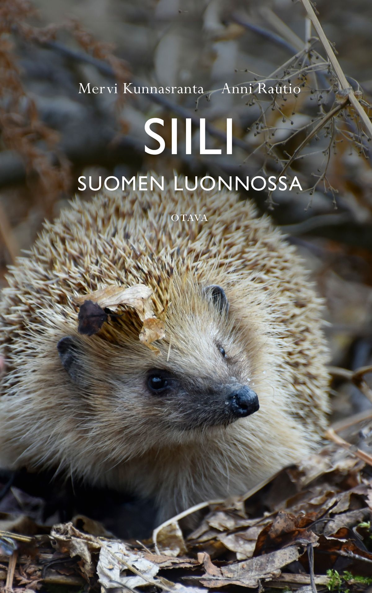 Kirjailijan Mervi Kunnasranta uusi kirja Siili Suomen luonnossa (UUSI)