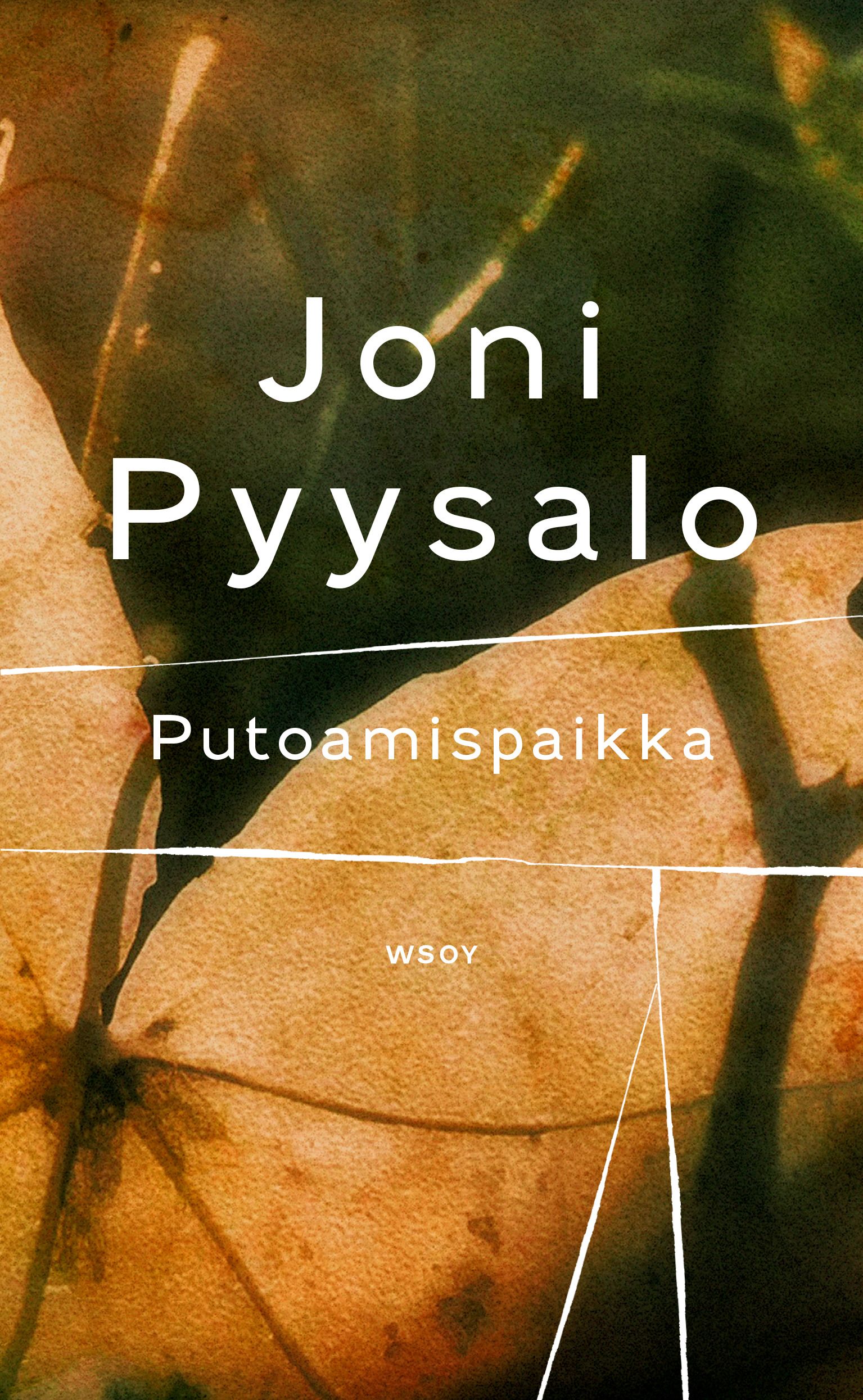Kirjailijan Joni Pyysalo uusi kirja Putoamispaikka : romaani (UUSI)