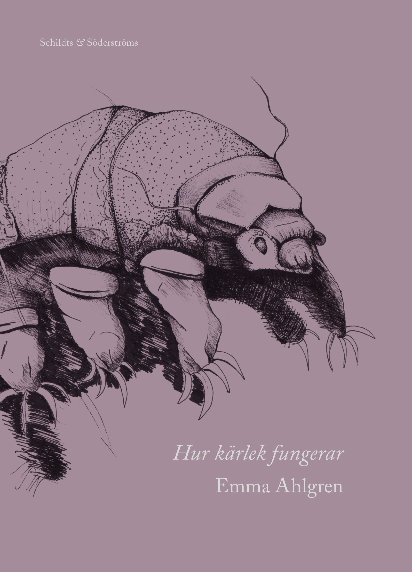 Emma Ahlgren : Hur kärlek fungerar