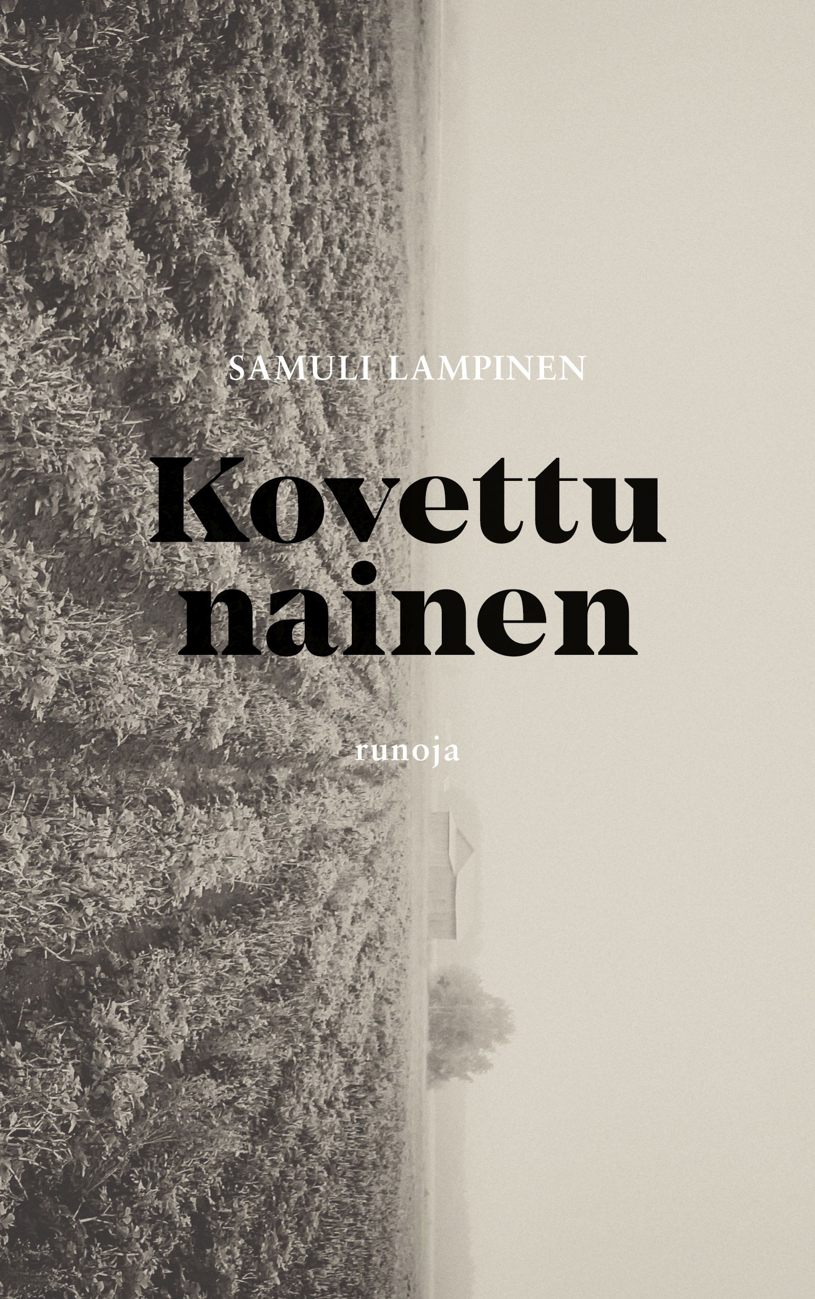 Samuli Lampinen : Kovettu nainen
