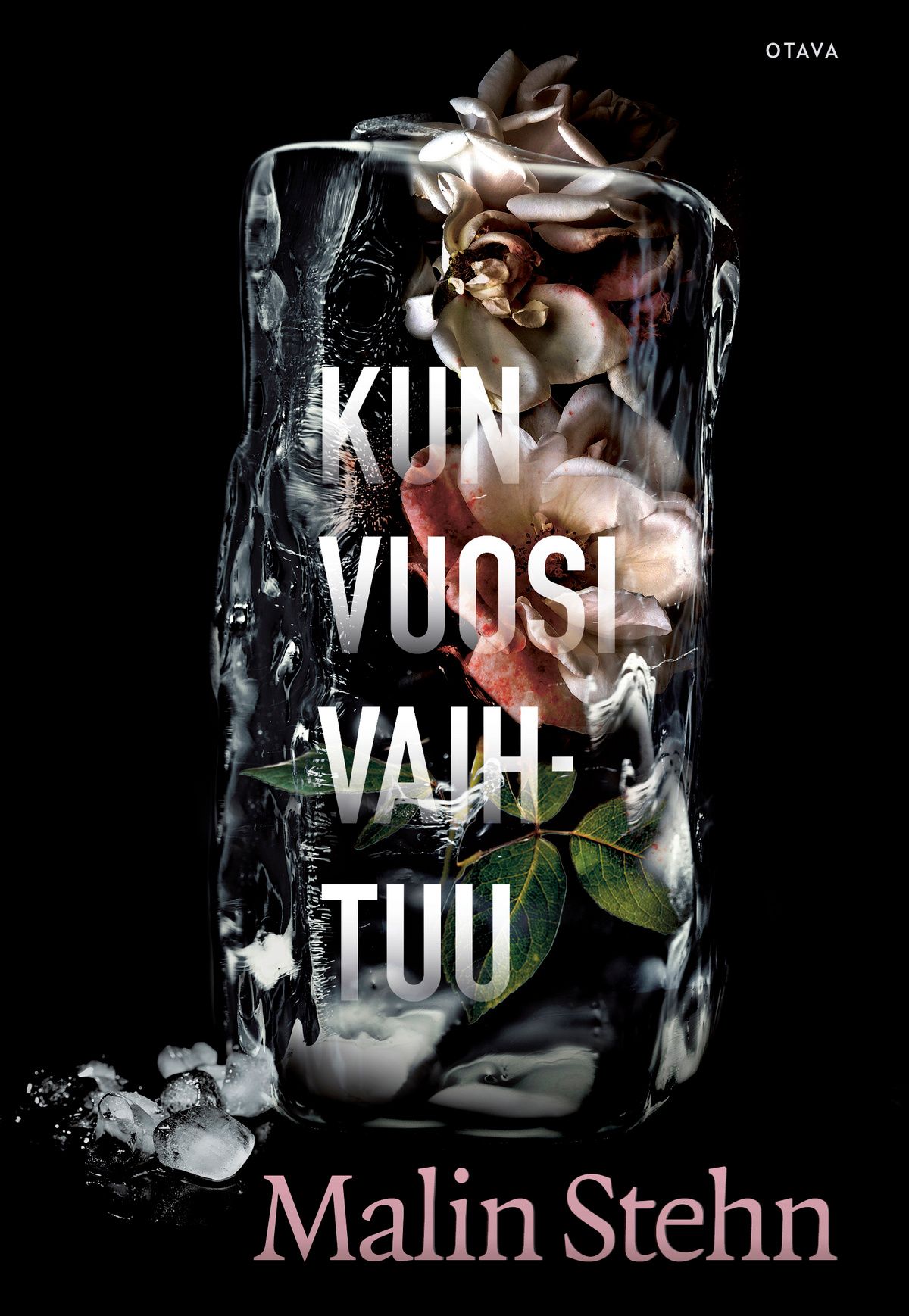 Kirjailijan Malin Stehn käytetty kirja Kun vuosi vaihtuu (ennakkokappale)