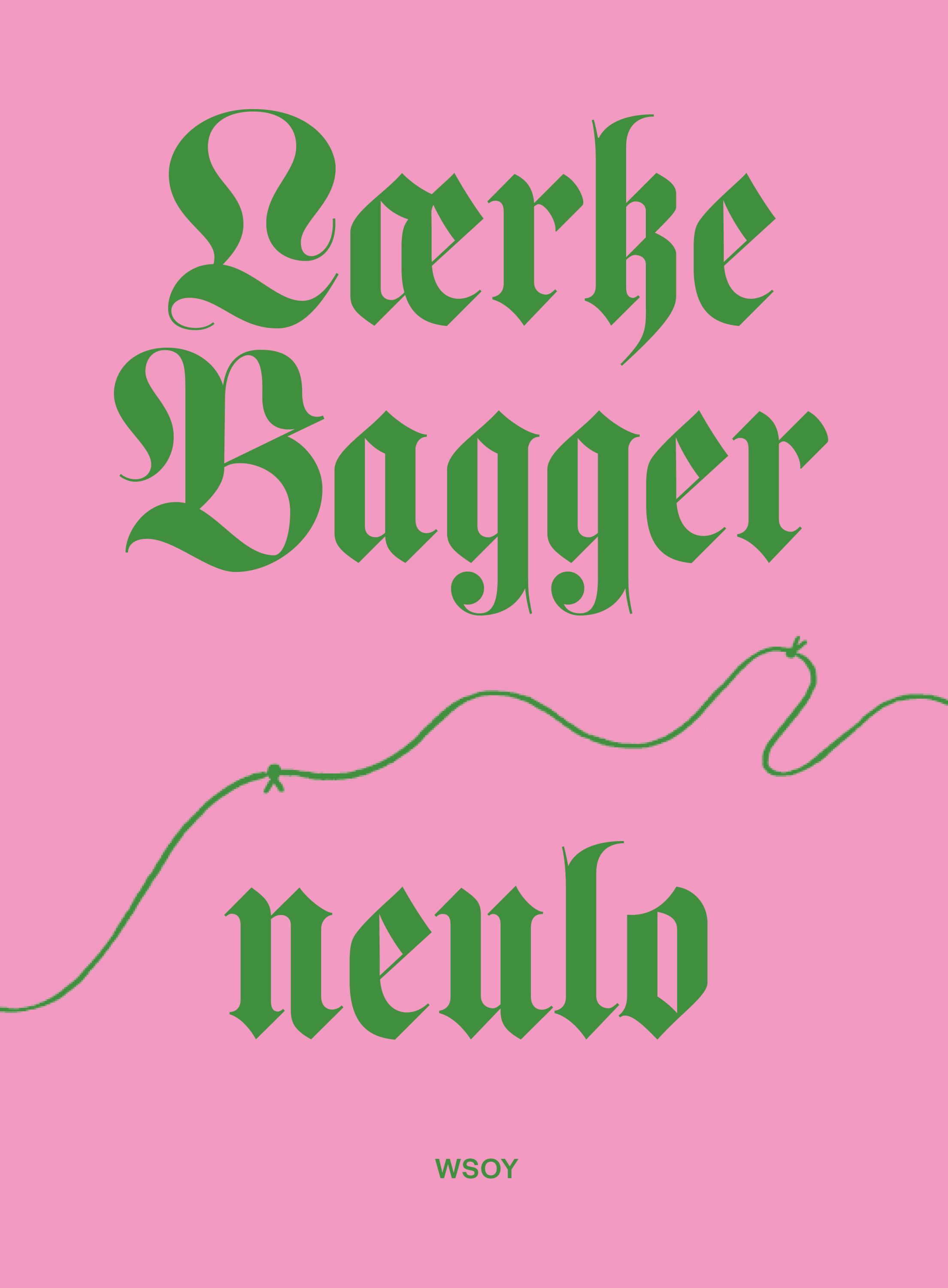 Kirjailijan Lærke Bagger käytetty kirja Neulo