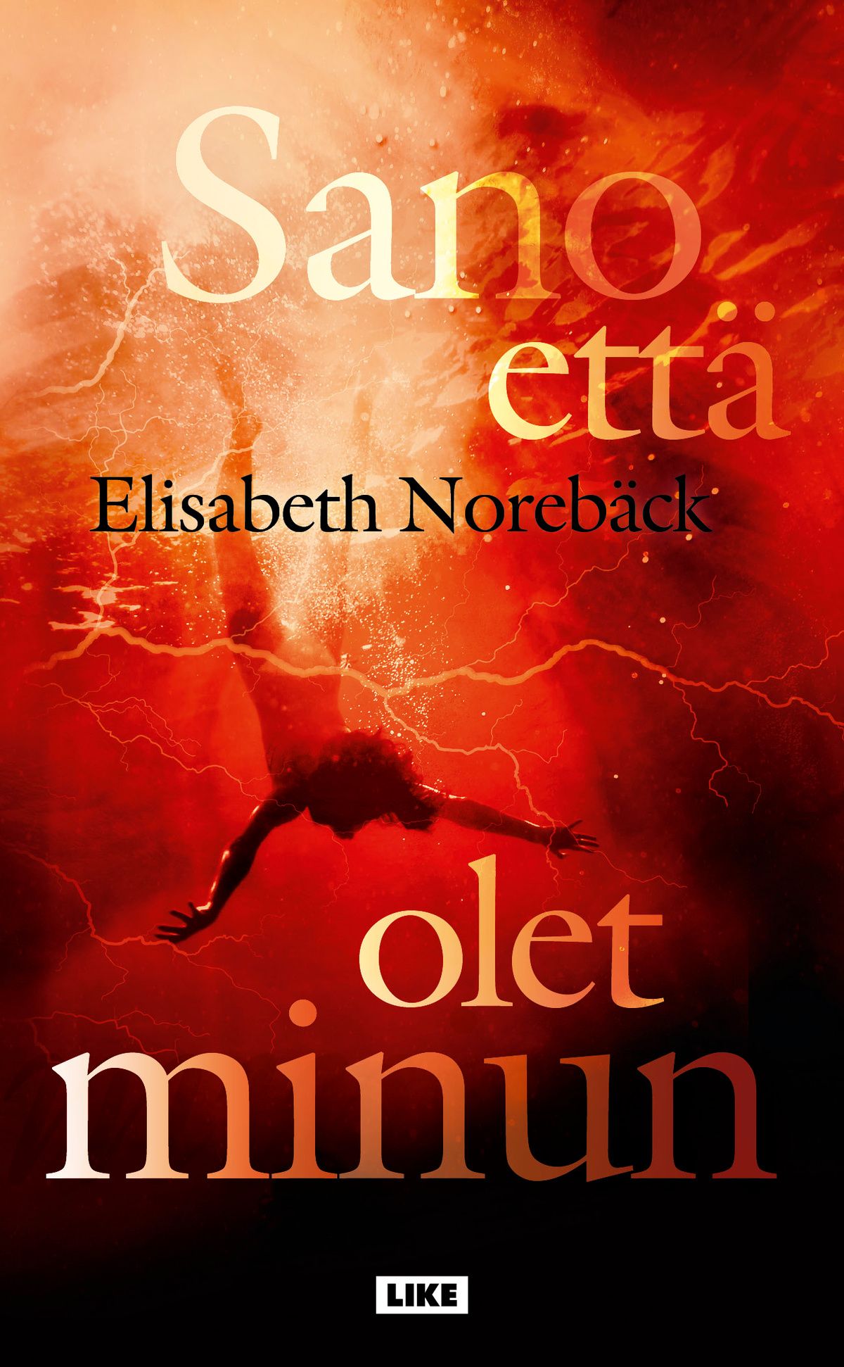 Kirjailijan Elisabeth Norebäck käytetty kirja Sano että olet minun