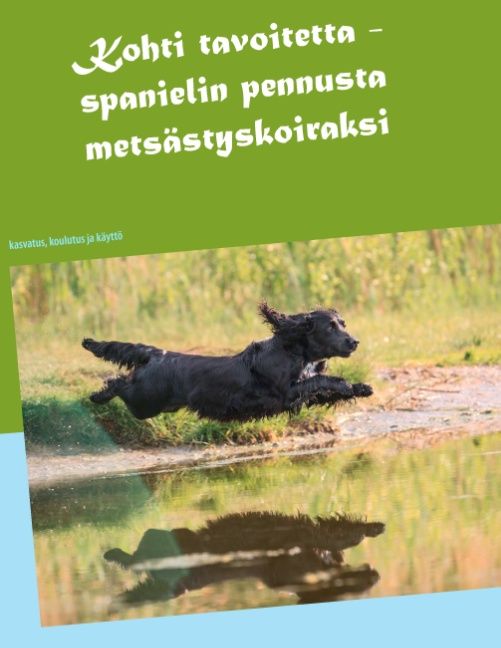 Tiina Karlström : Kohti tavoitetta