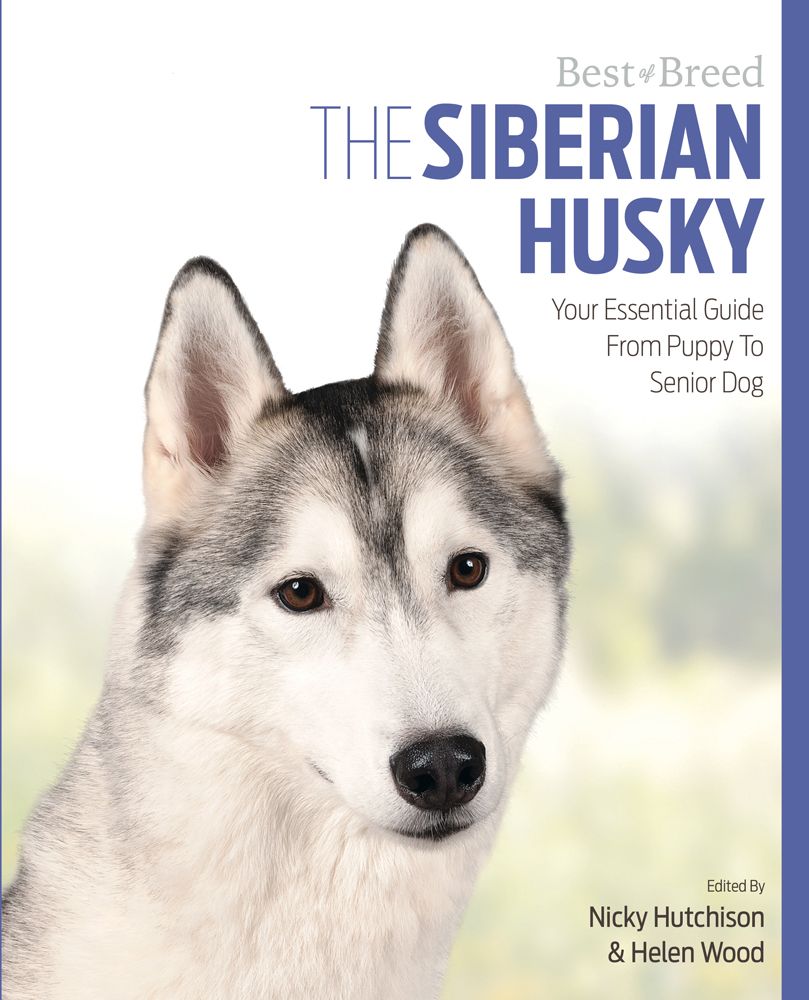 Nicky Hutchison & Helen Wood : The Siberian Huskey