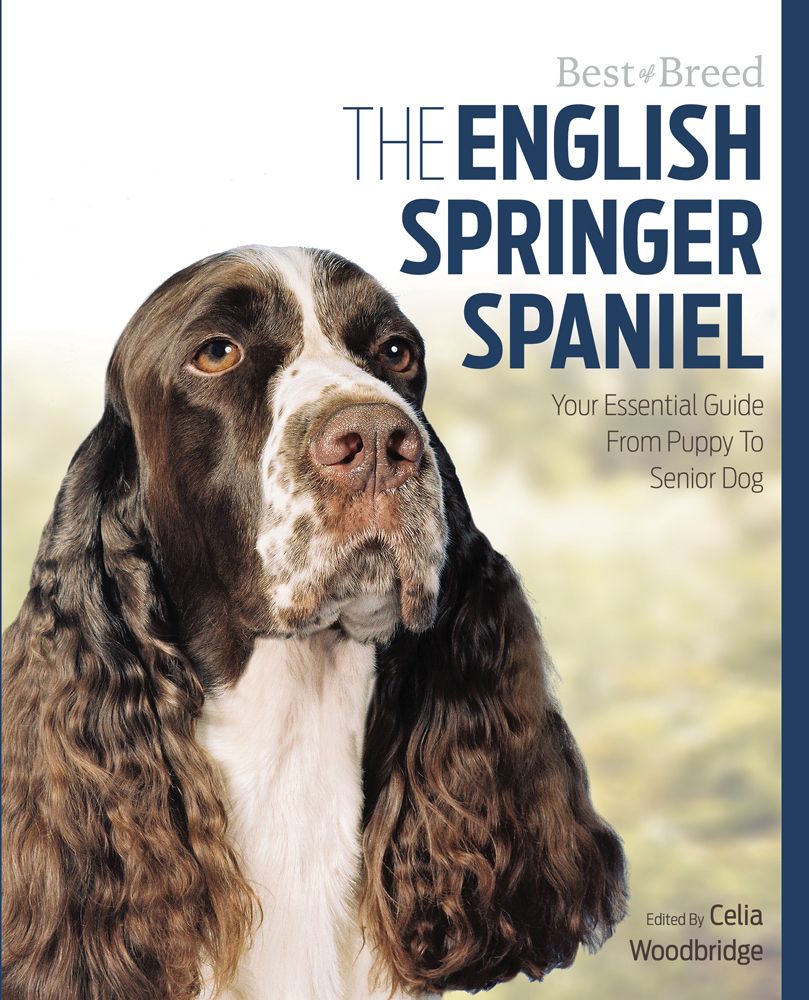 Celia Woodbridge : The English Springer Spaniel