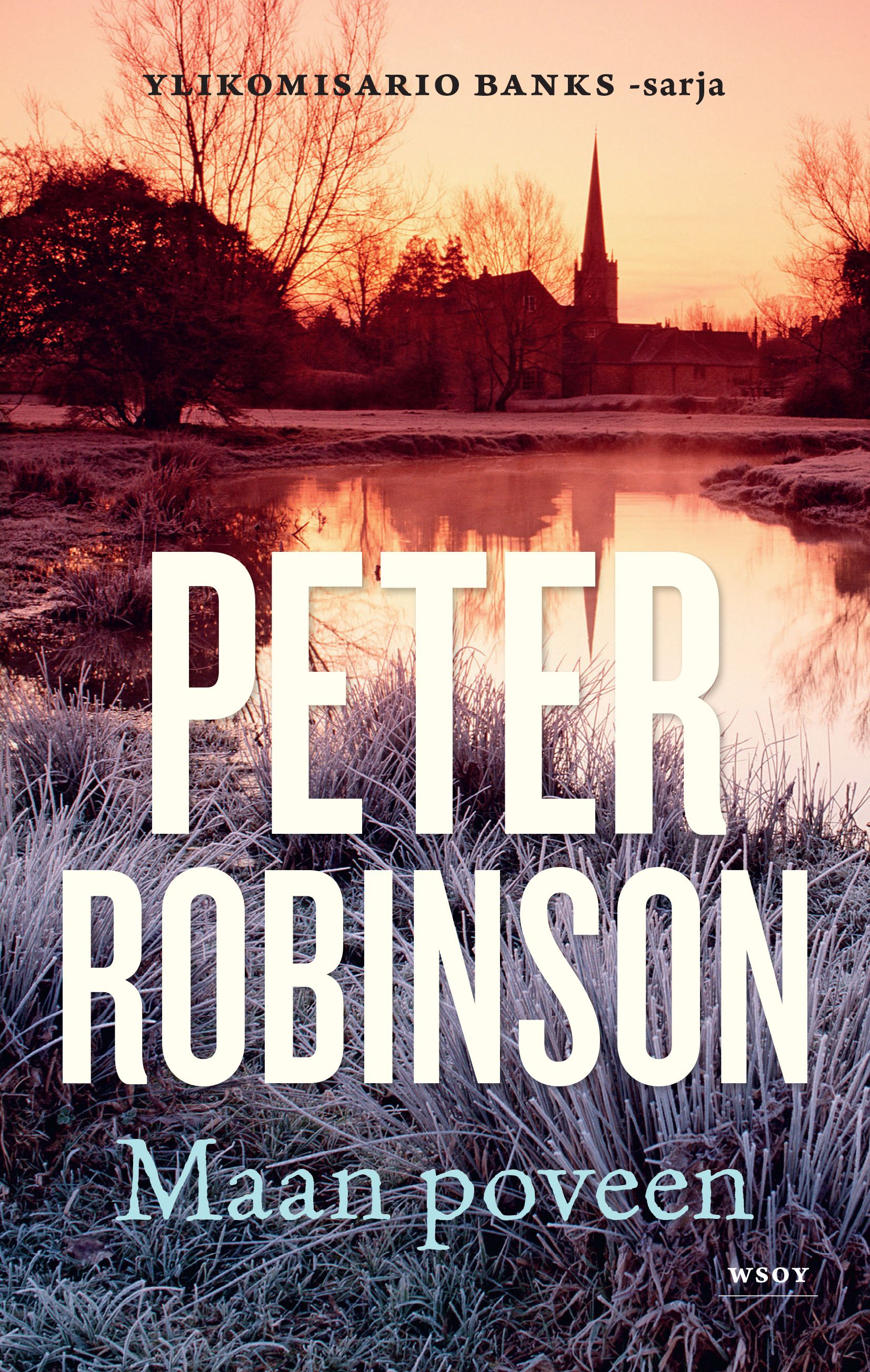 Peter Robinson : Maan poveen