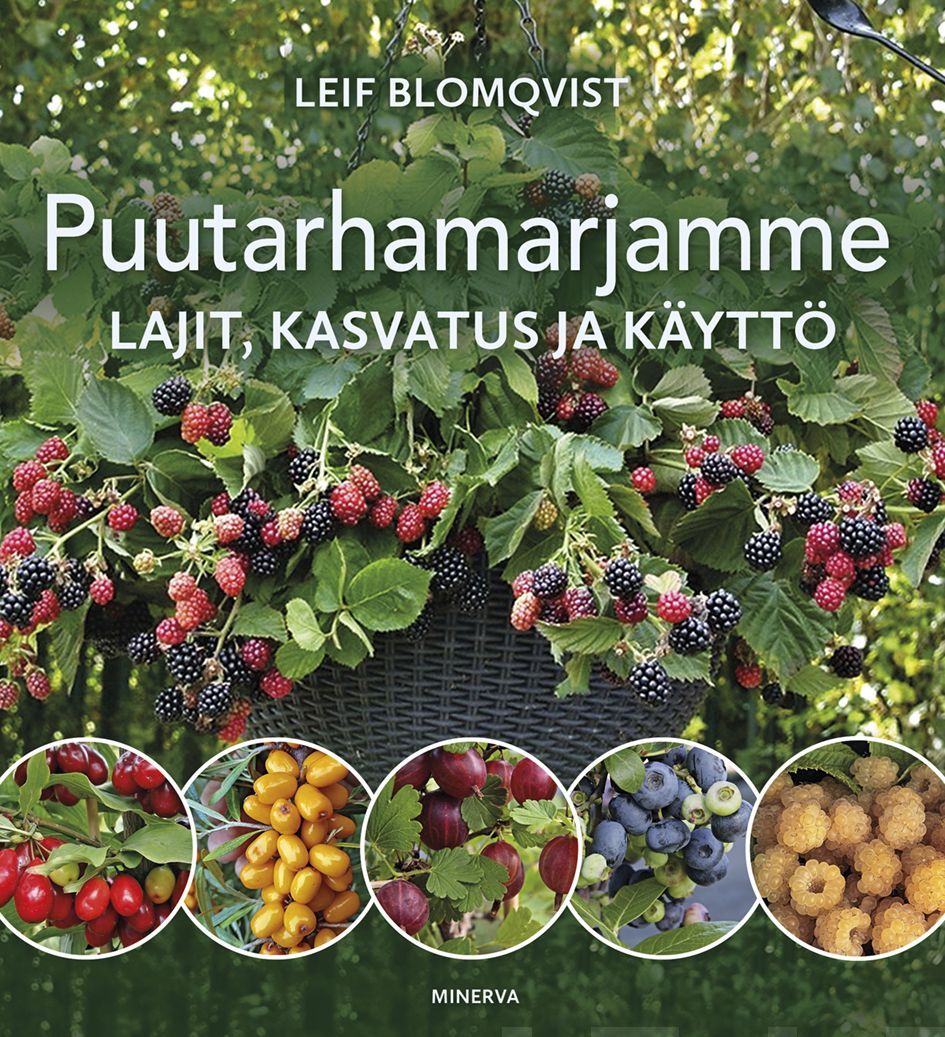 Kirjailijan Leif Blomqvist käytetty kirja Puutarhamarjamme