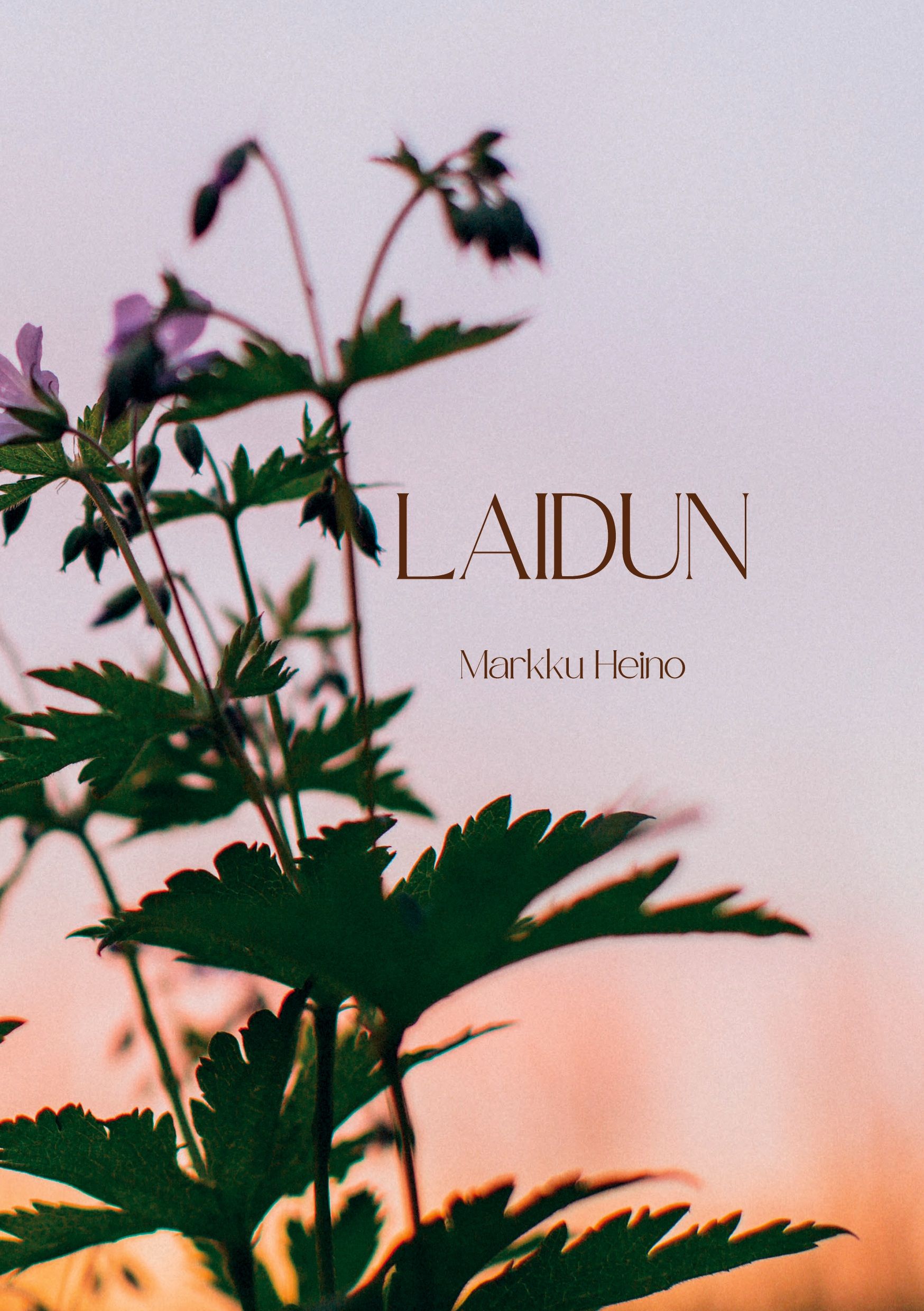 Markku Heino : Laidun