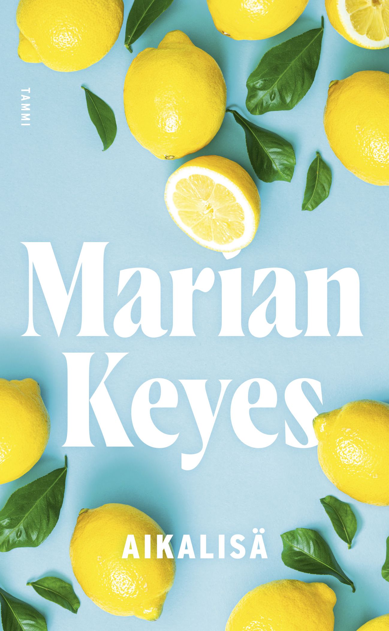Kirjailijan Marian Keyes käytetty kirja Aikalisä