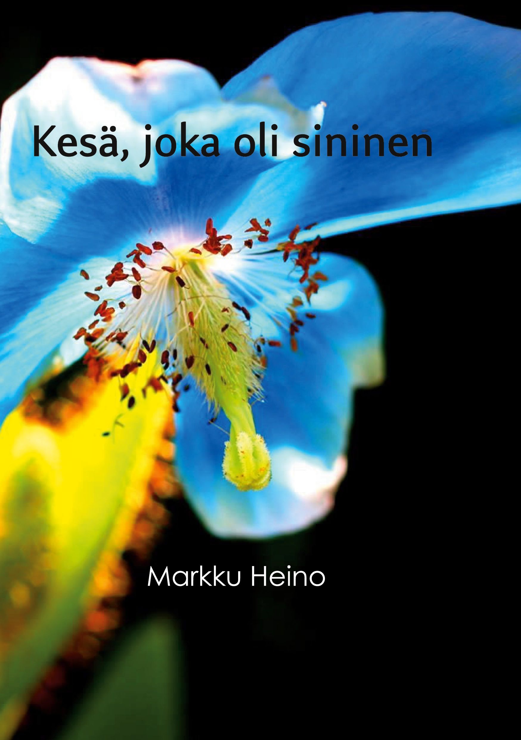 Markku Heino : Kesä, joka oli sininen