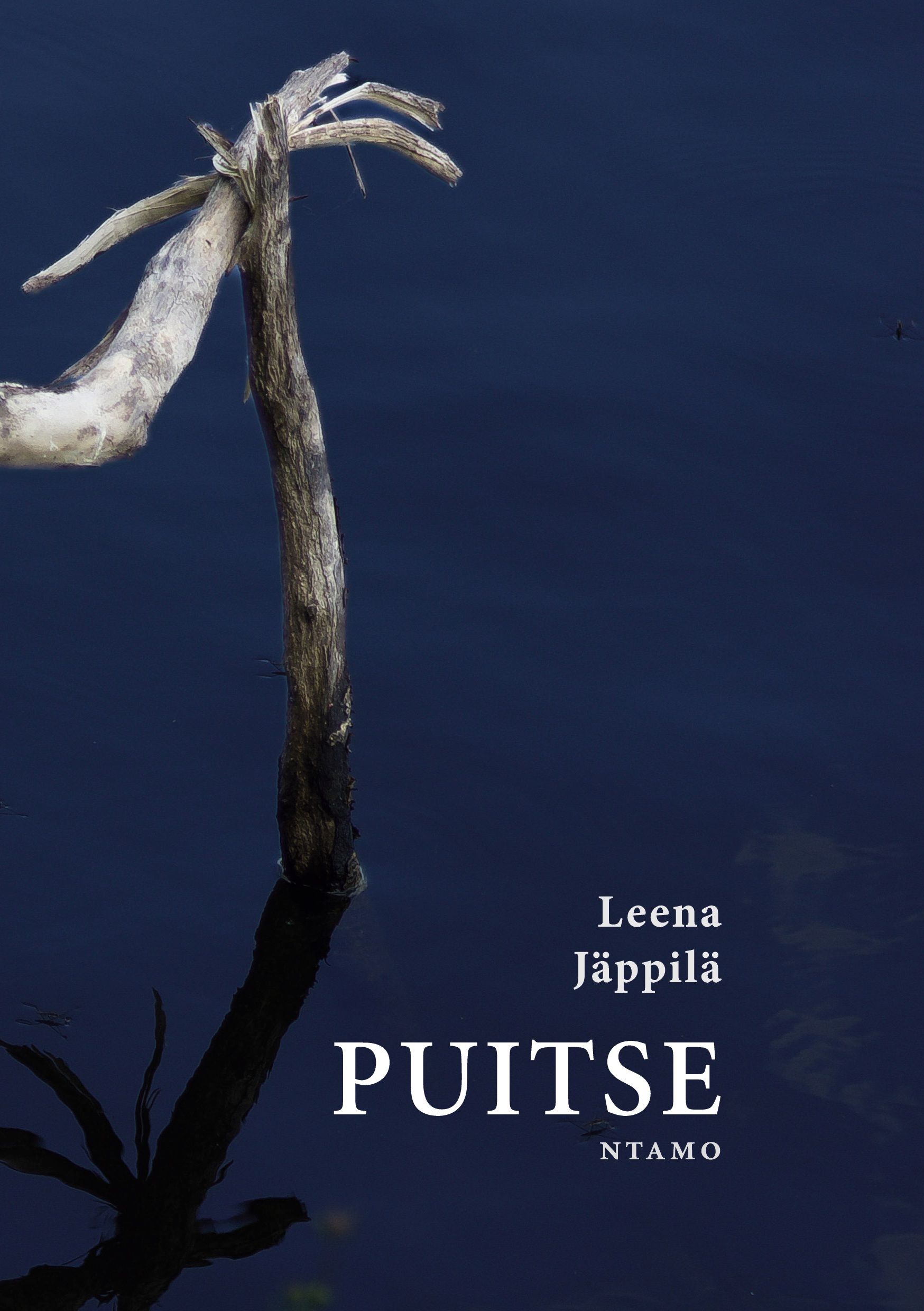 Leena Jäppilä : Puitse
