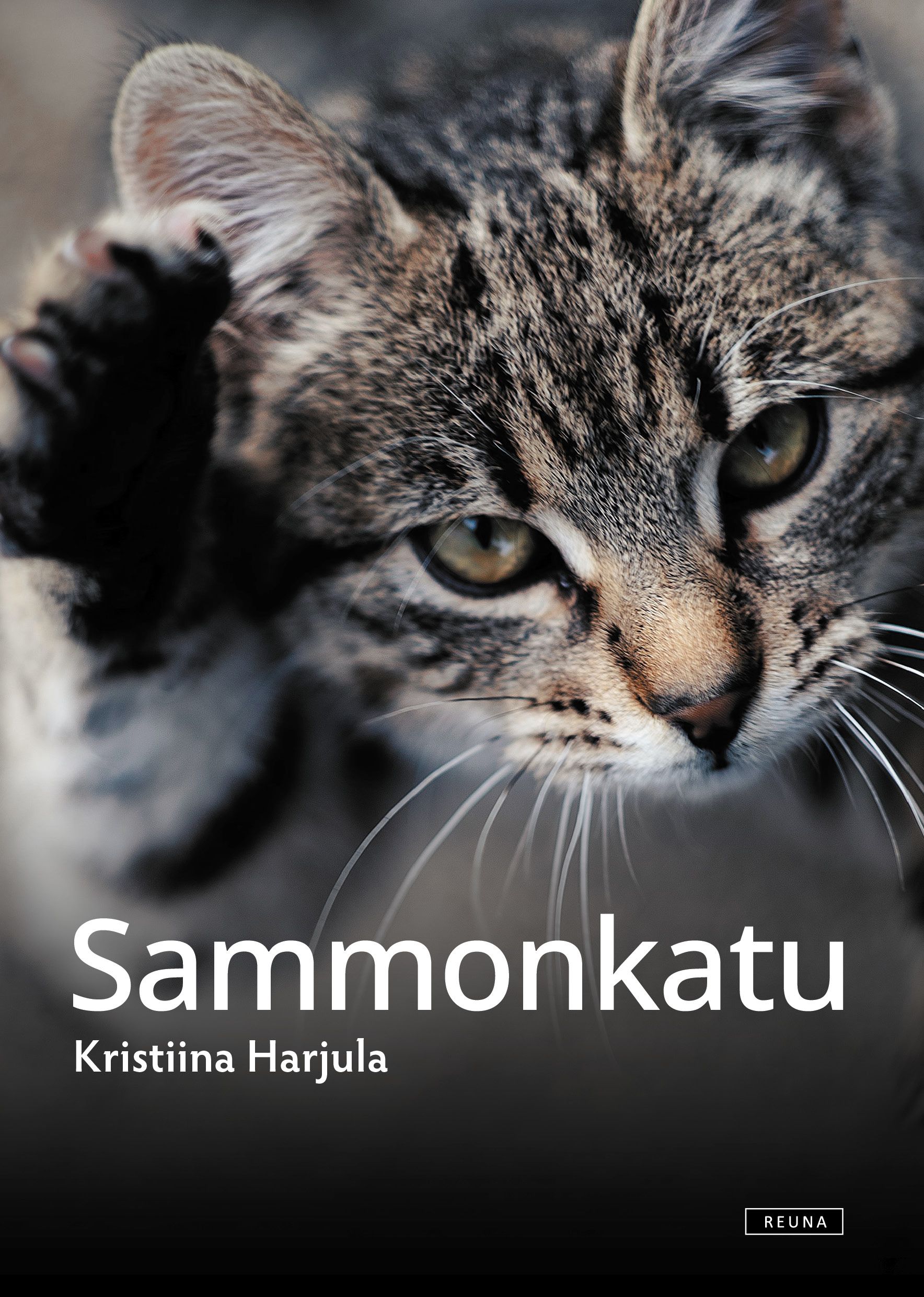 Kristiina Harjula : Sammonkatu