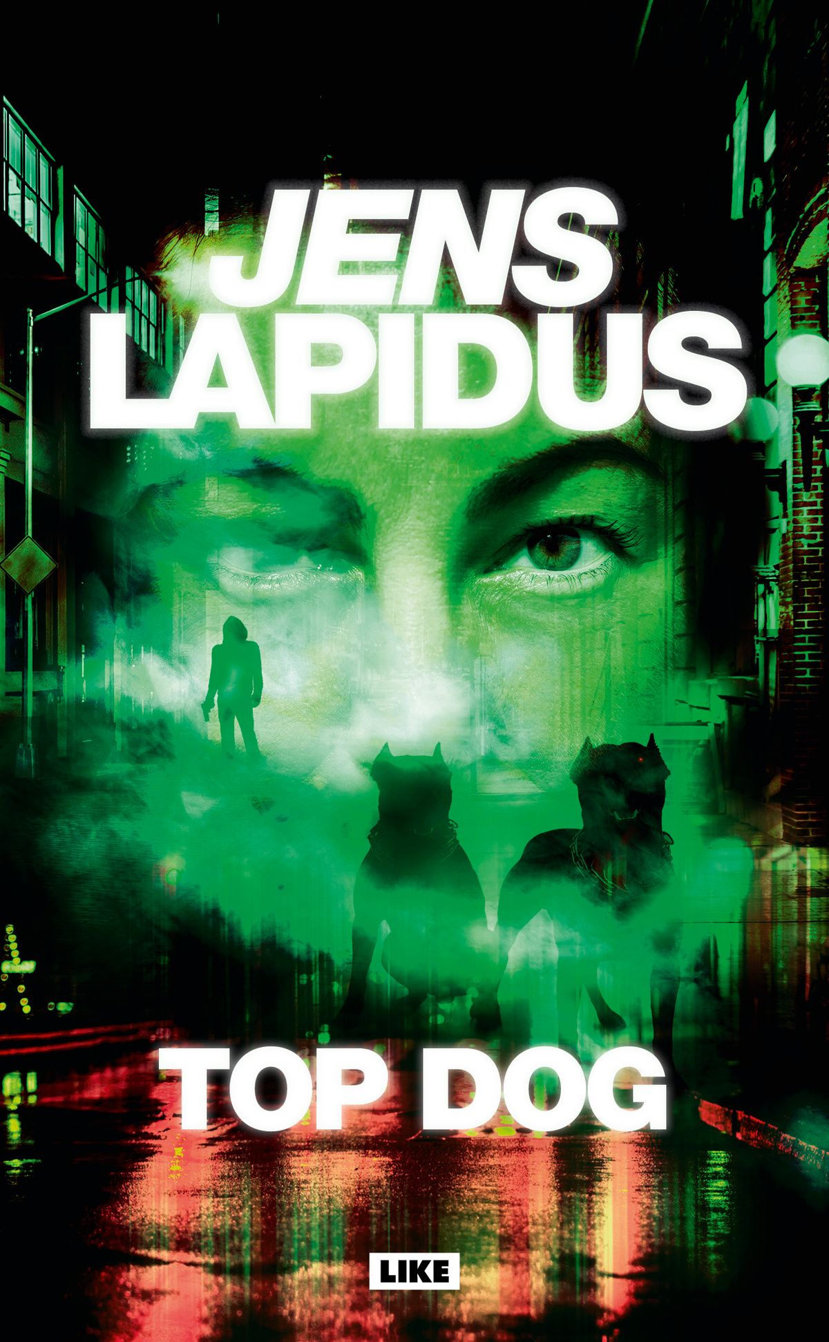 Kirjailijan Jens Lapidus käytetty kirja Top dog