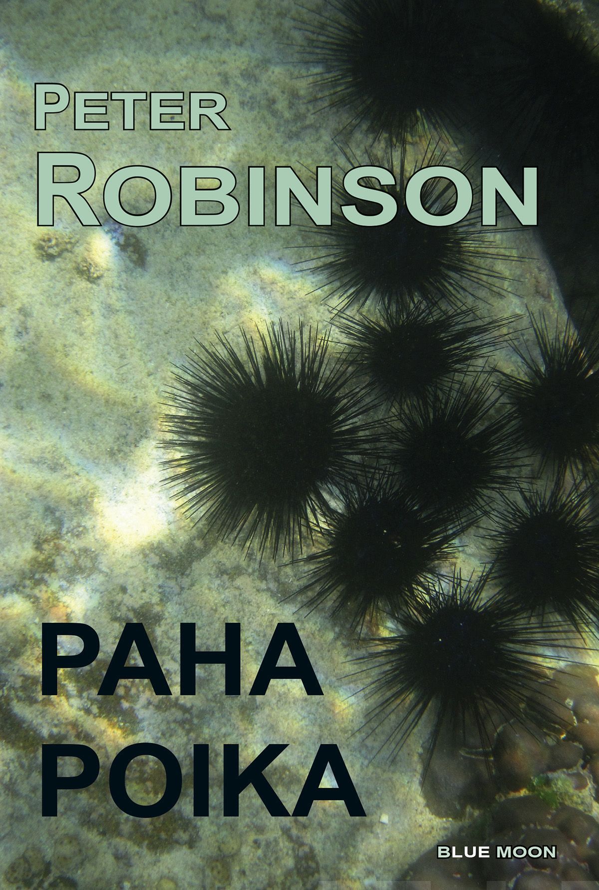 Peter Robinson : Paha poika